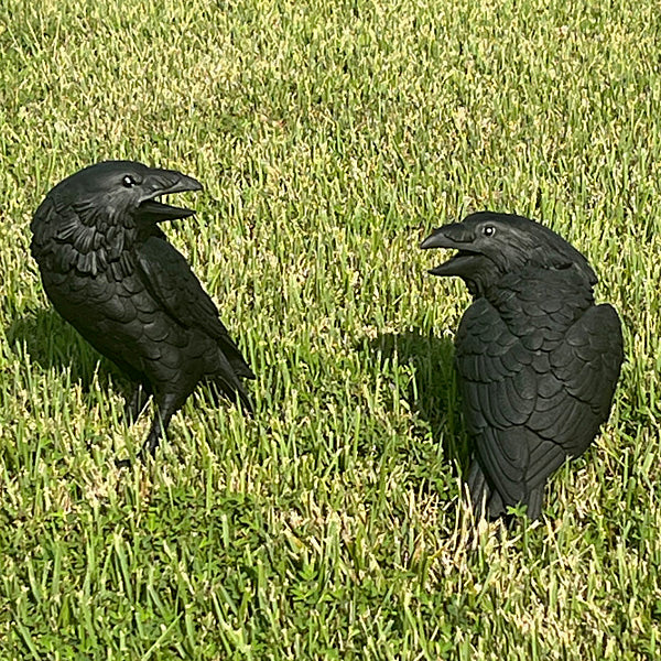 Huginn & Muninn Statues