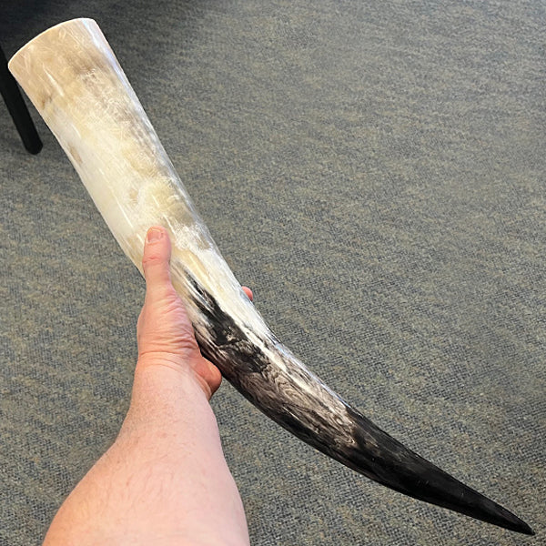 Drinking Horns (5 Size Options)