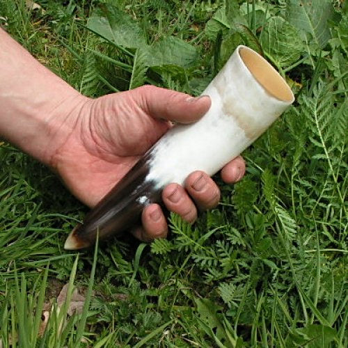 Drinking Horns (5 Size Options)