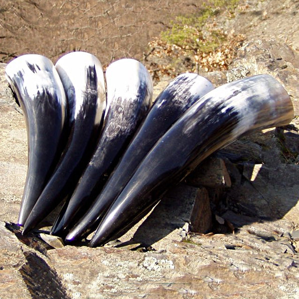 Set of 5 Drinking Horns & Stand