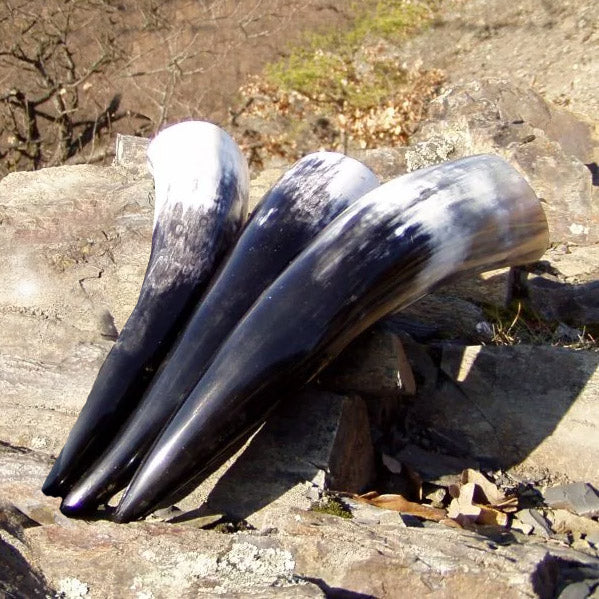 Set of 3 Drinking Horns & Stand