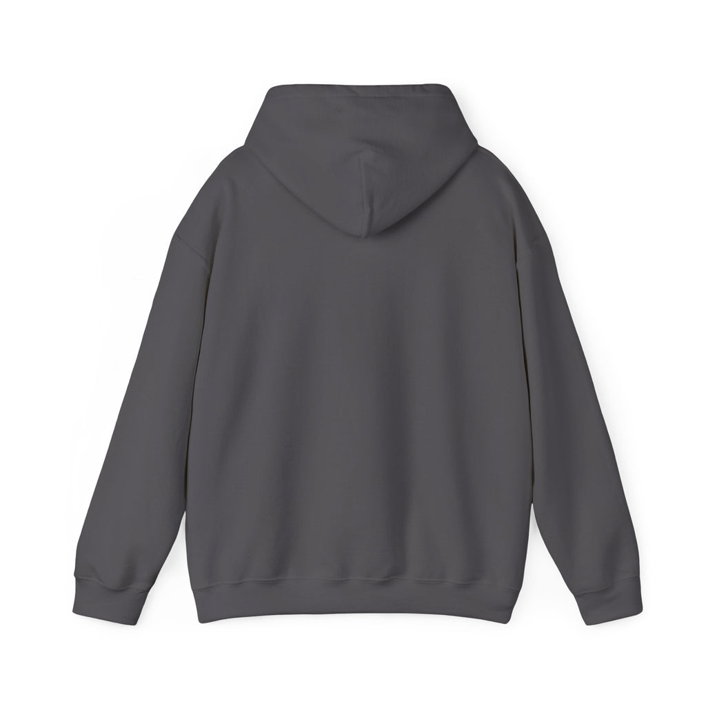 I Drink for Ireland Hoodie