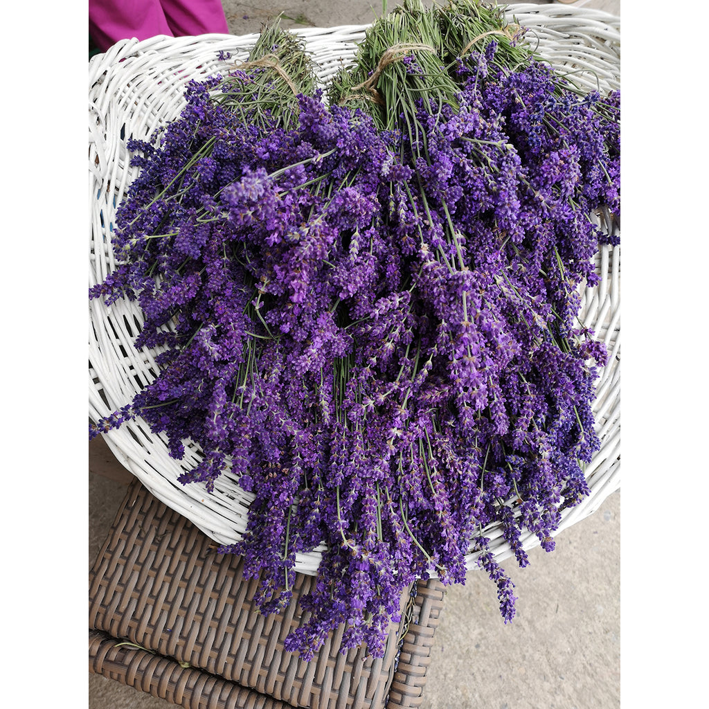 Bouquet of lavender in a wicker basket on a textured surface