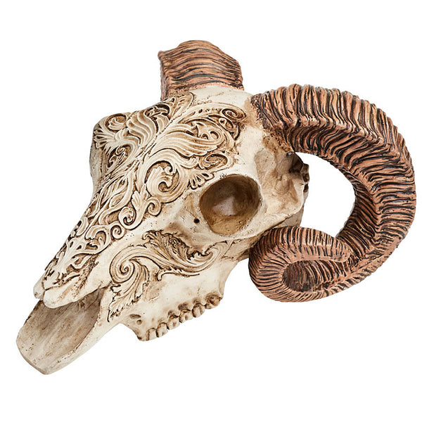 7.1” Scrimshaw Ram Skull