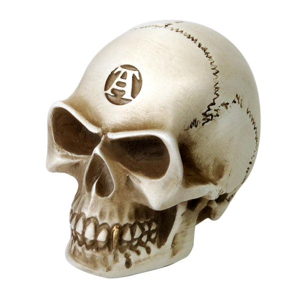 Bone Colored Skull Paperweight