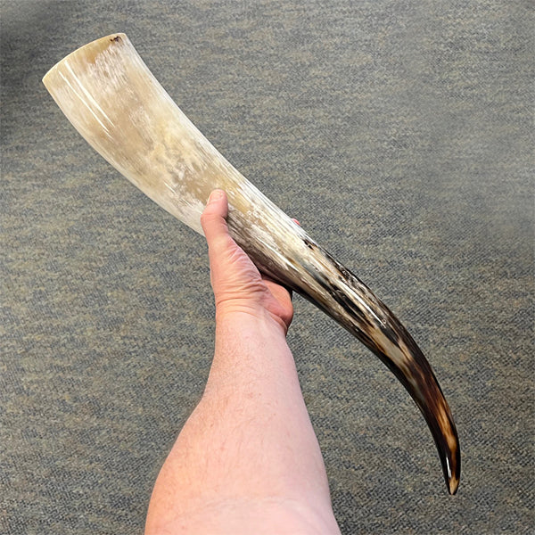 Plain Drinking Horns (5 Size Options)