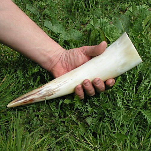 Viking Drinking Horn – (4 Sizes Available)