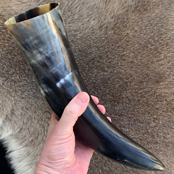 Plain Drinking Horns (3 Size Options)